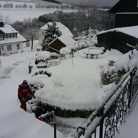 Daire Haus Talblick Schmallenberg